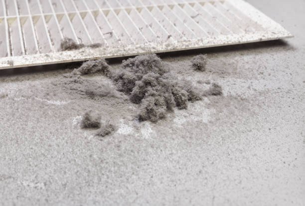 Best Ventilation Cleaning Services  in Stevensville, MD