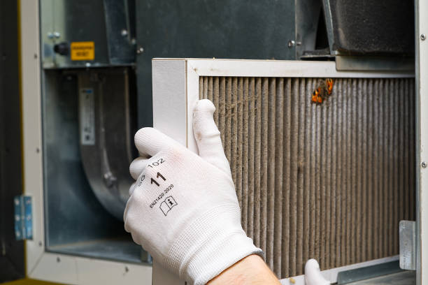 Best Affordable Duct Cleaning Services  in Stevensville, MD