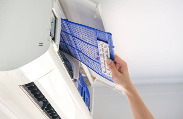 Best Ductwork Cleaning Services  in Stevensville, MD