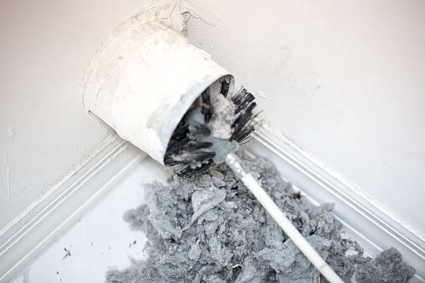 Best HVAC Air Duct Cleaning  in Stevensville, MD